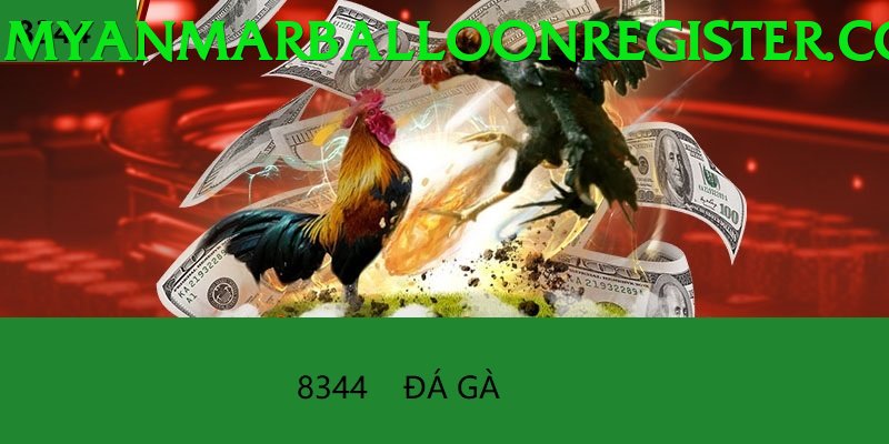 Đá Gà Trực Tiếp - Trải nghiệm tuyệt vời